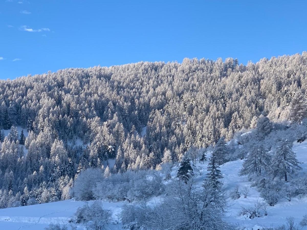 Luxueux Sauna Wifi Chalet Roubion