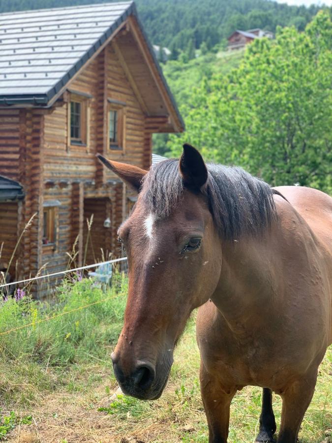 Luxueux Sauna Wifi Chalet Roubion